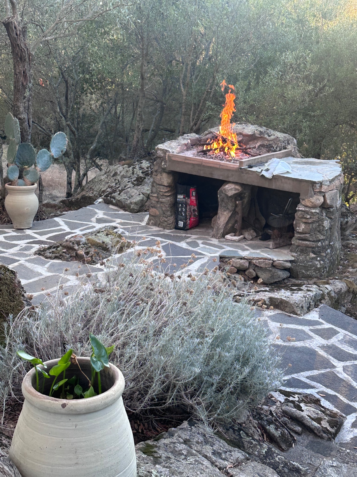 Chindalu - Un'esperienza di gusto nel cuore della Gallura — foto 6