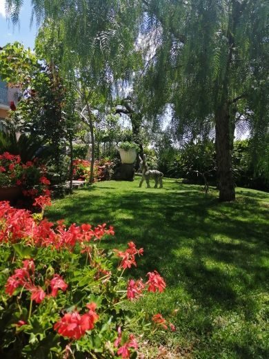 Il Giardino di Eva - Home Restaurant — foto 5
