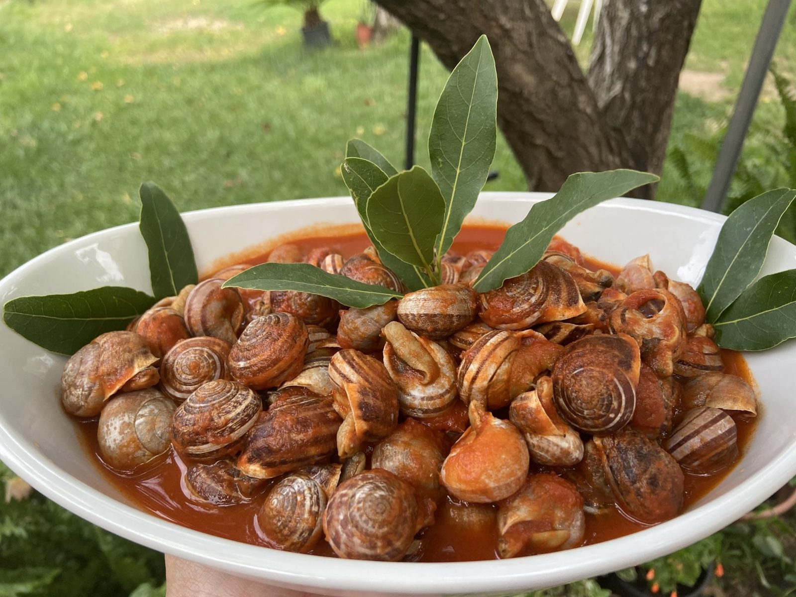 Tenuta San Gaetano - Home Restaurant — foto 4