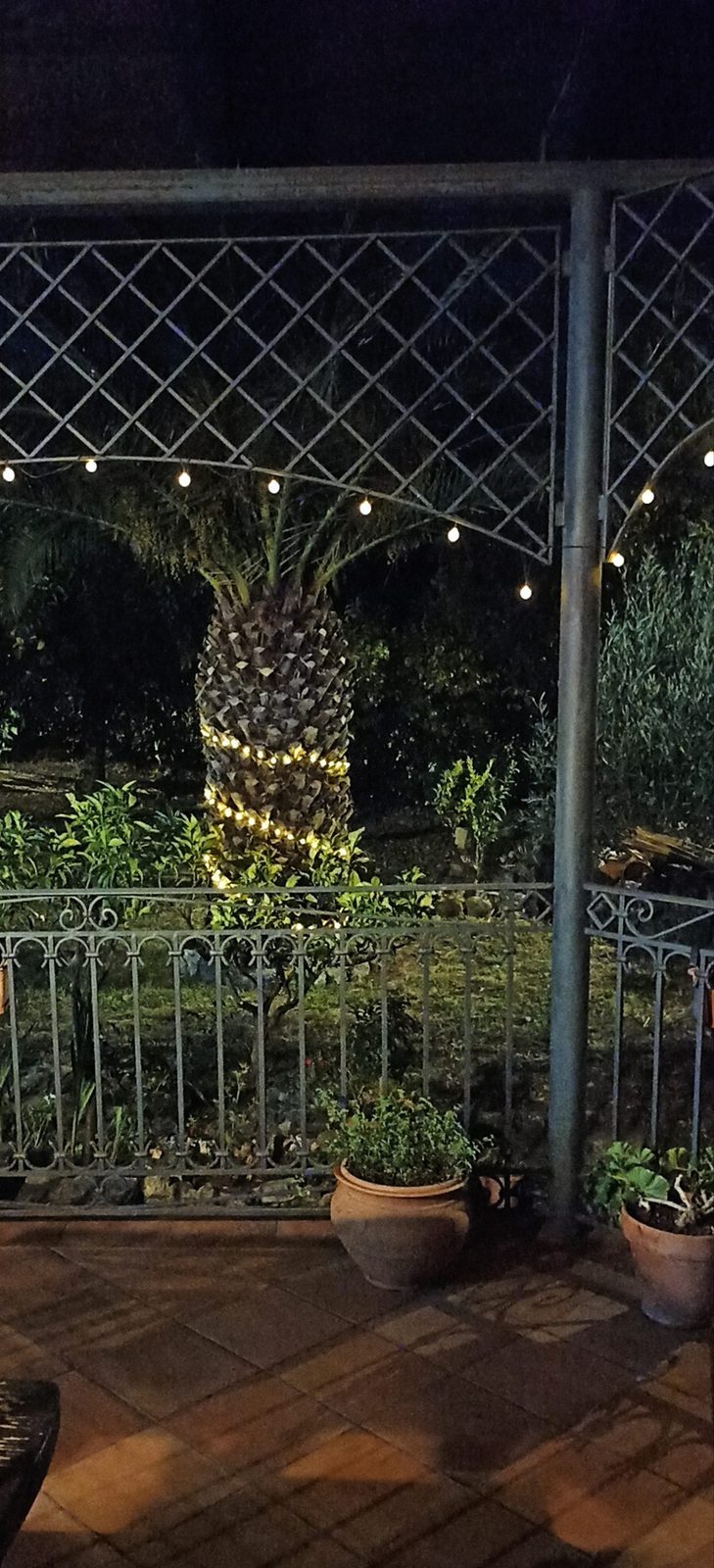Oltre la siepe — foto 9