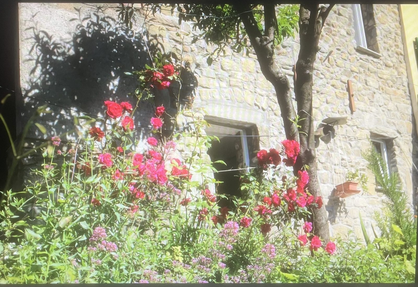 Home Restaurant Nido dei Golosi — foto 6