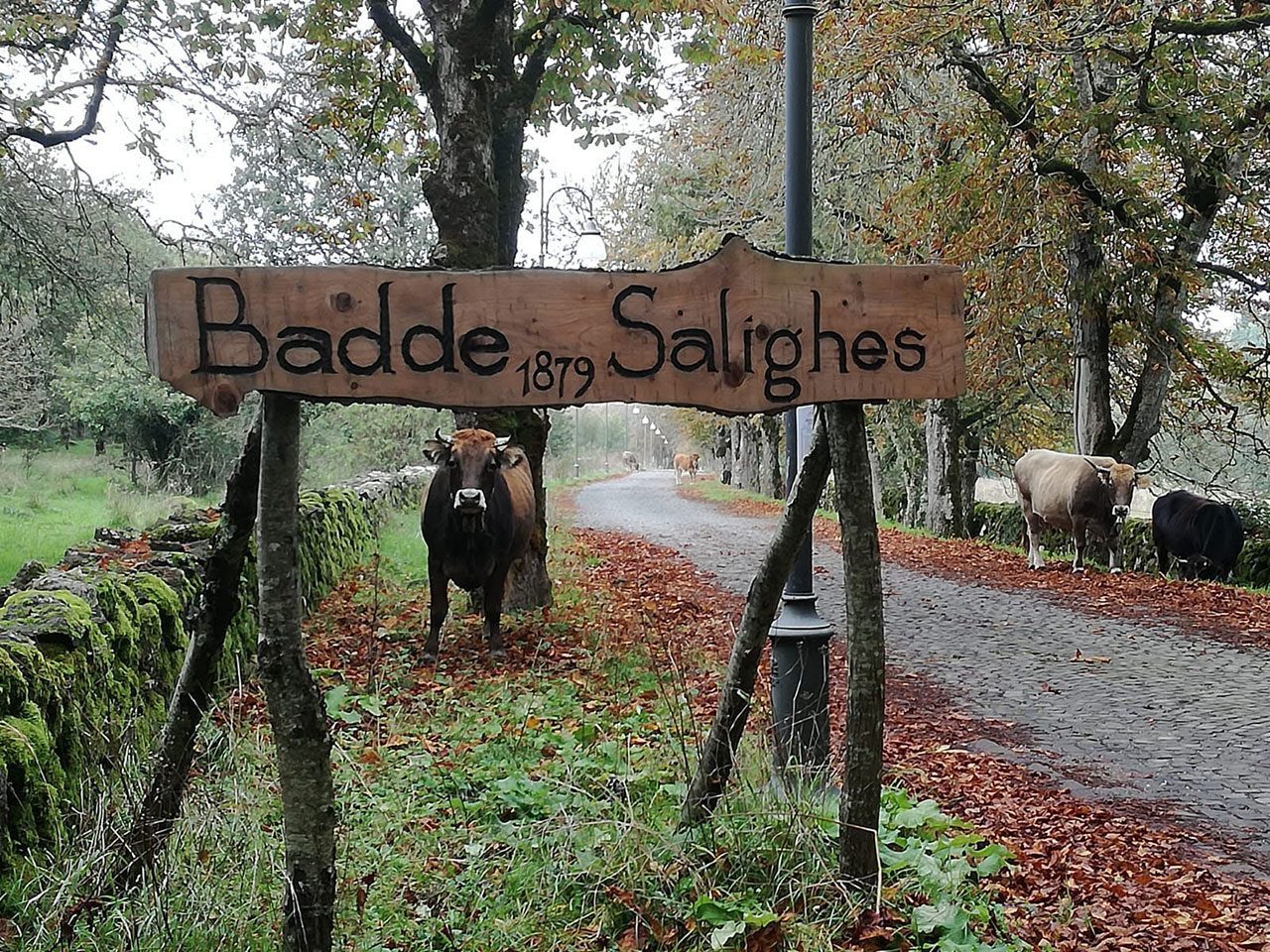 La Casa di Badde -Home Restaurant — foto 2