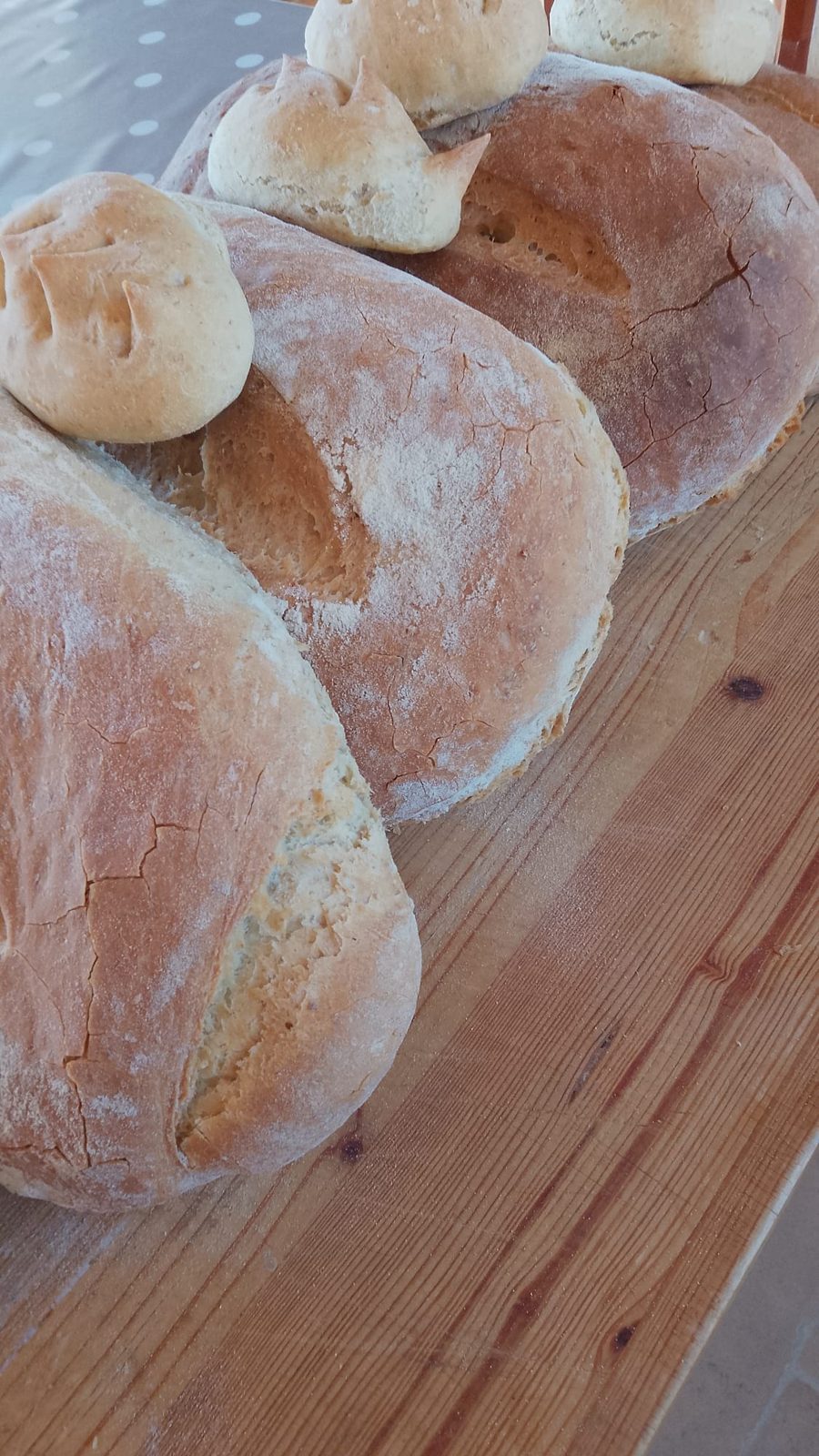 A CASA DEI NONNI — foto 8