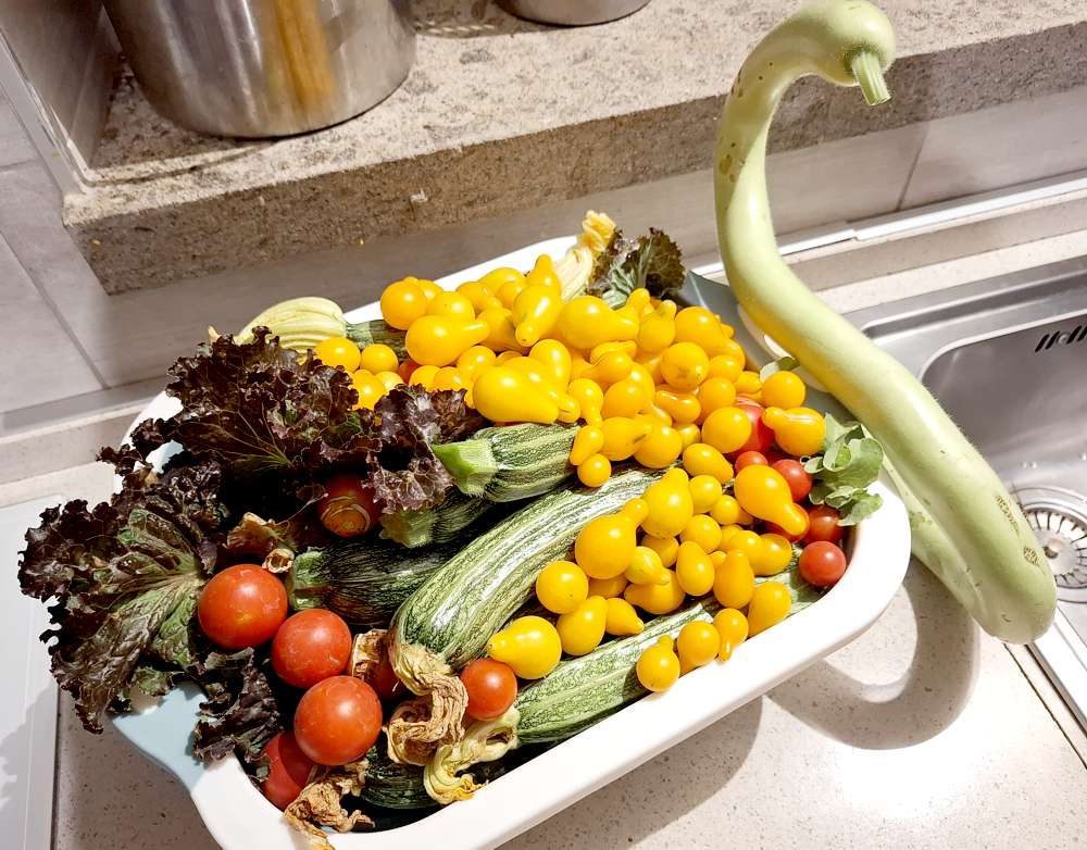 A Tavola con Fukuoka di Grace Land Natural Farm — foto 2