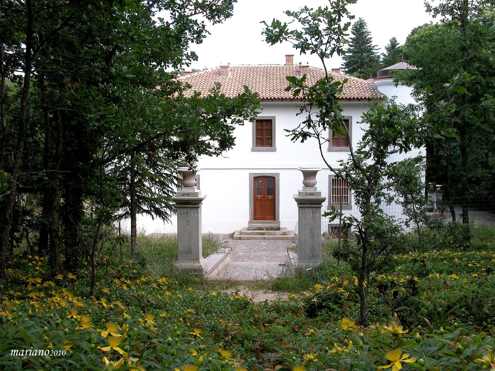 La Casa di Badde -Home Restaurant — foto 4