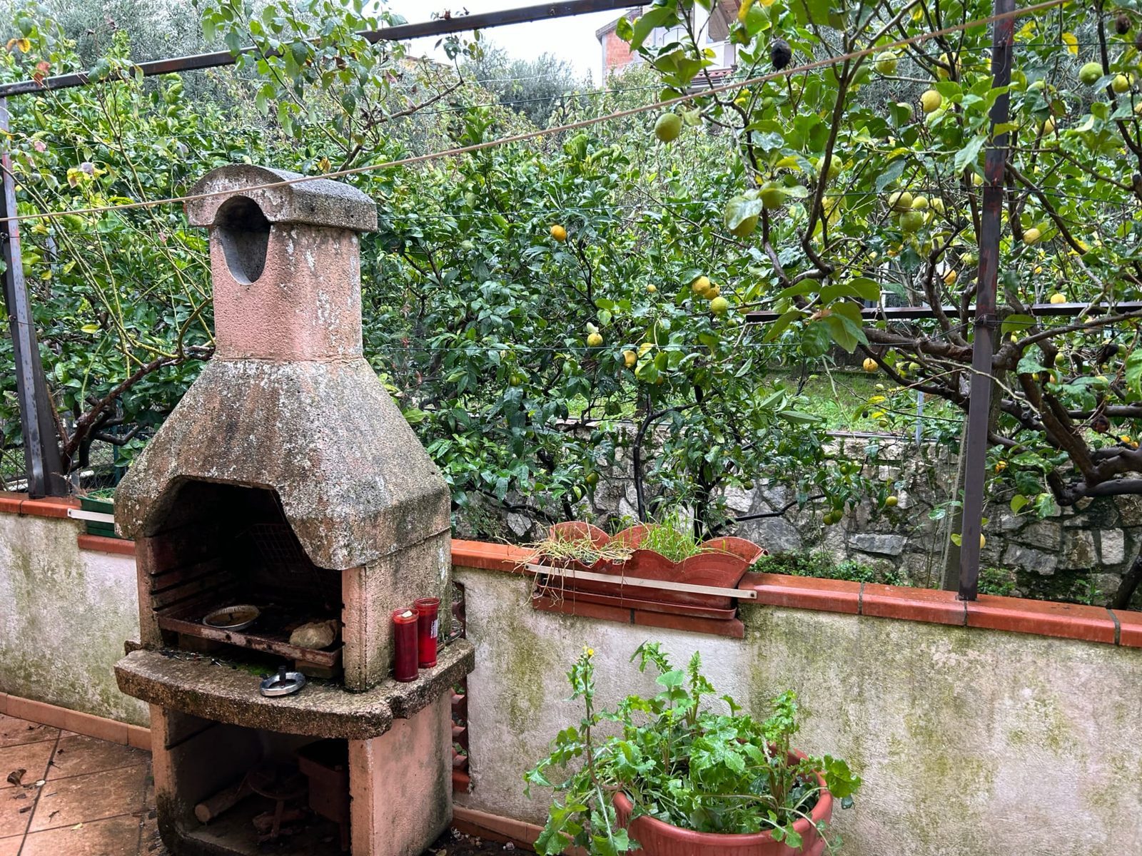 Home Restaurant “Ra Panzone” — foto 7
