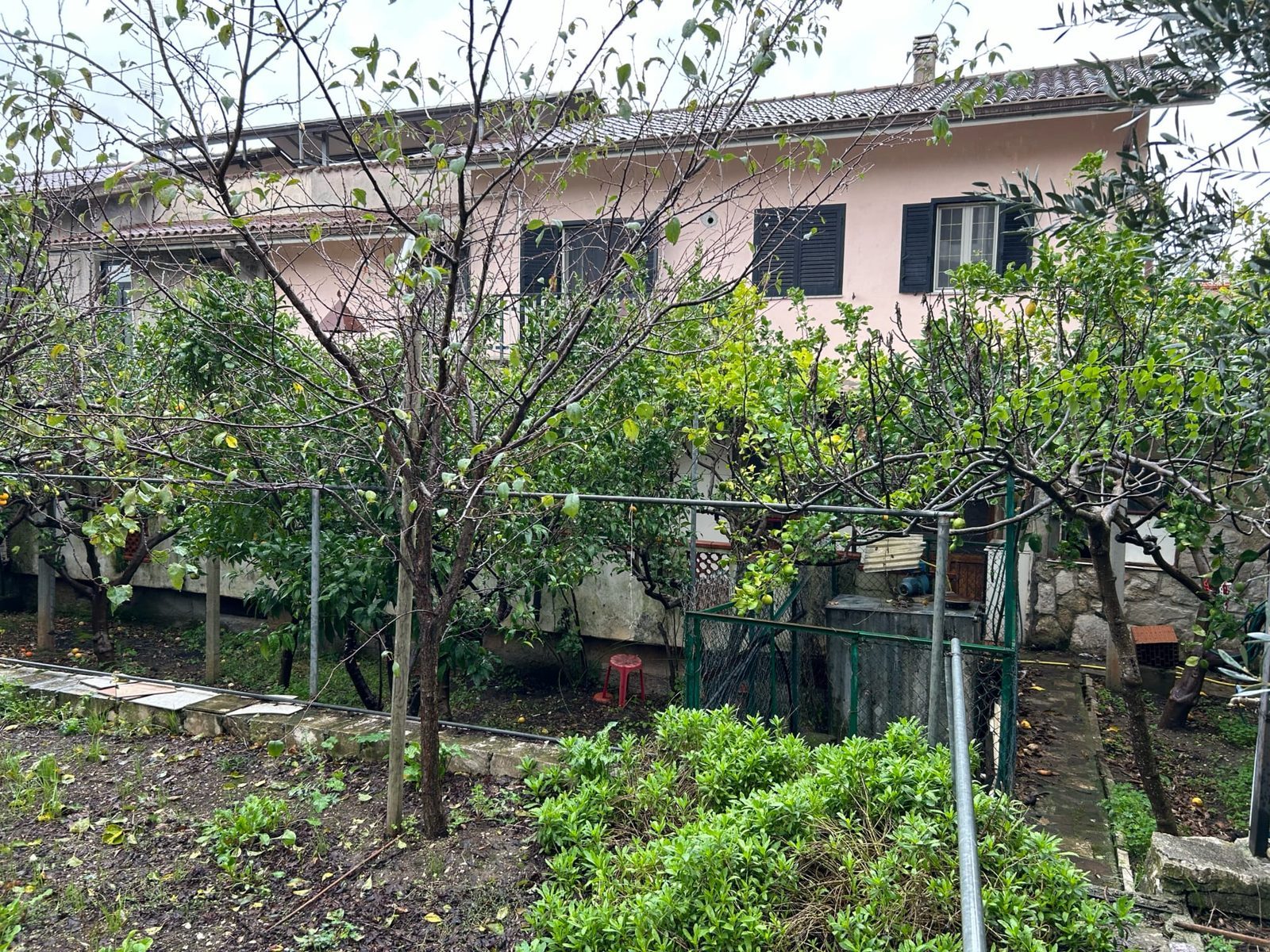 Home Restaurant “Ra Panzone” — foto 4