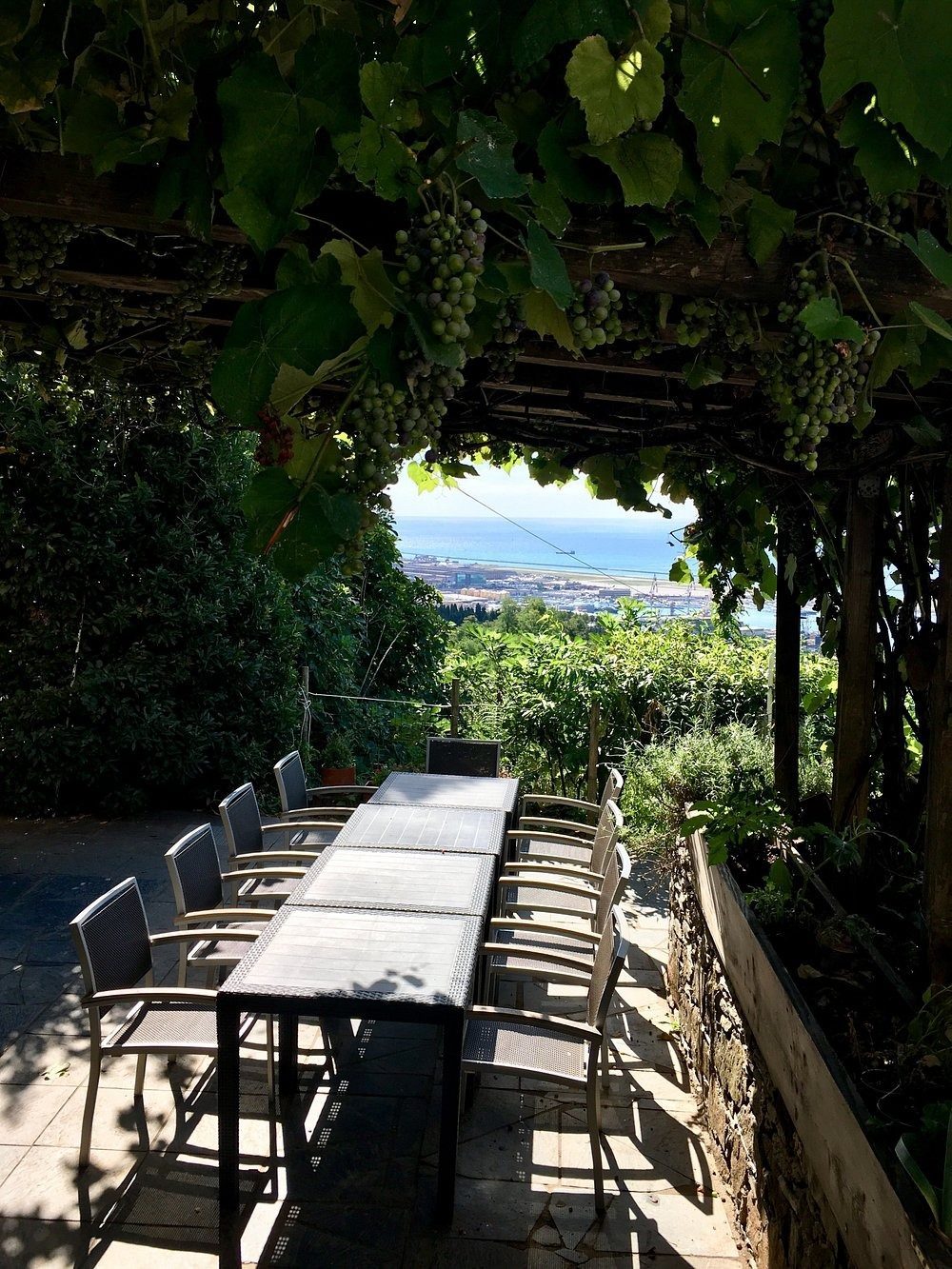 Montecontessa Home Restaurant — foto 2