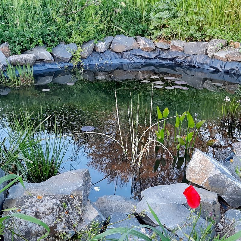 Grace Land Natural Farm &amp; Life — foto 8