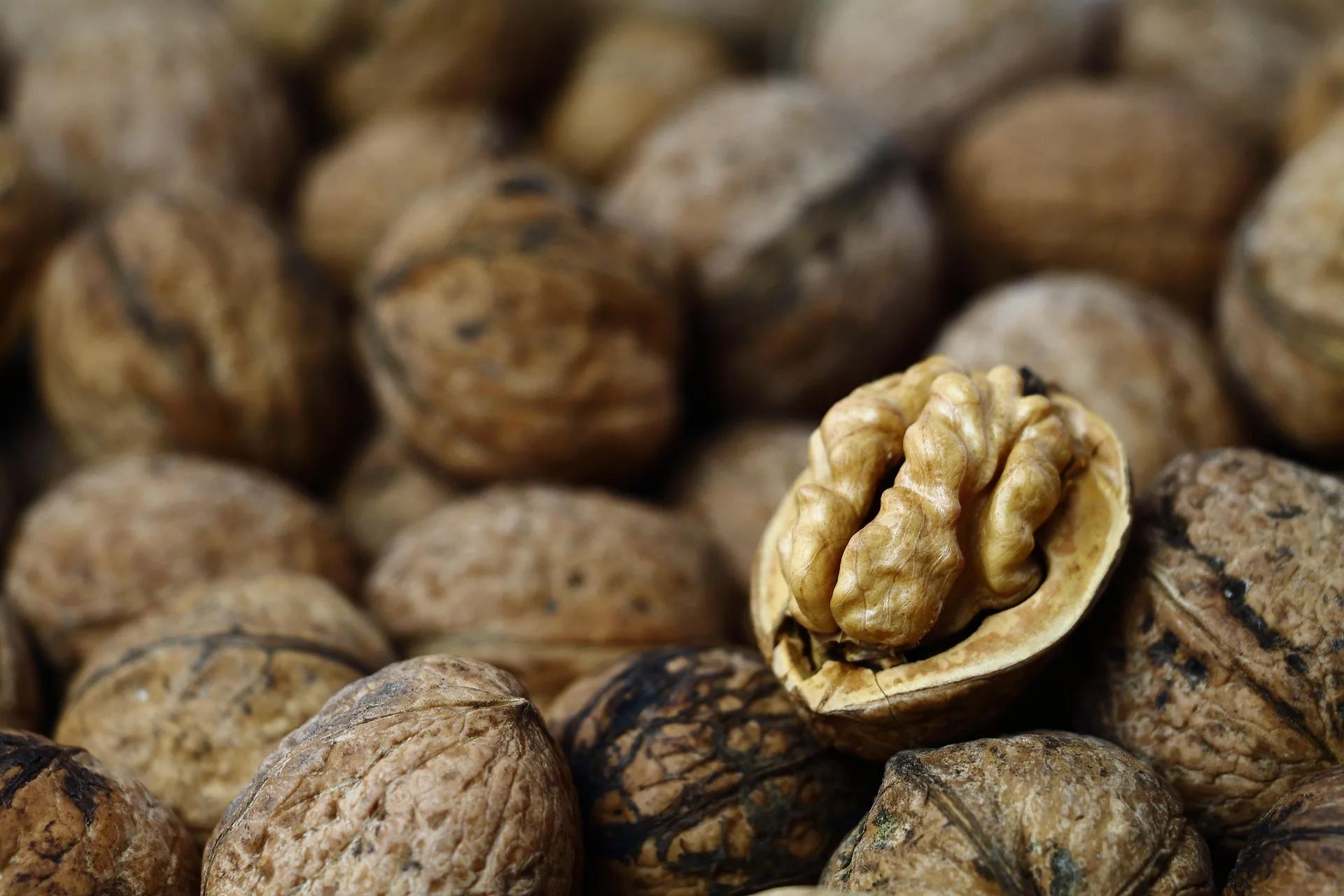 Agroalimentare e salute: la noce regina d'autunno tra benessere e versatilità in cucina