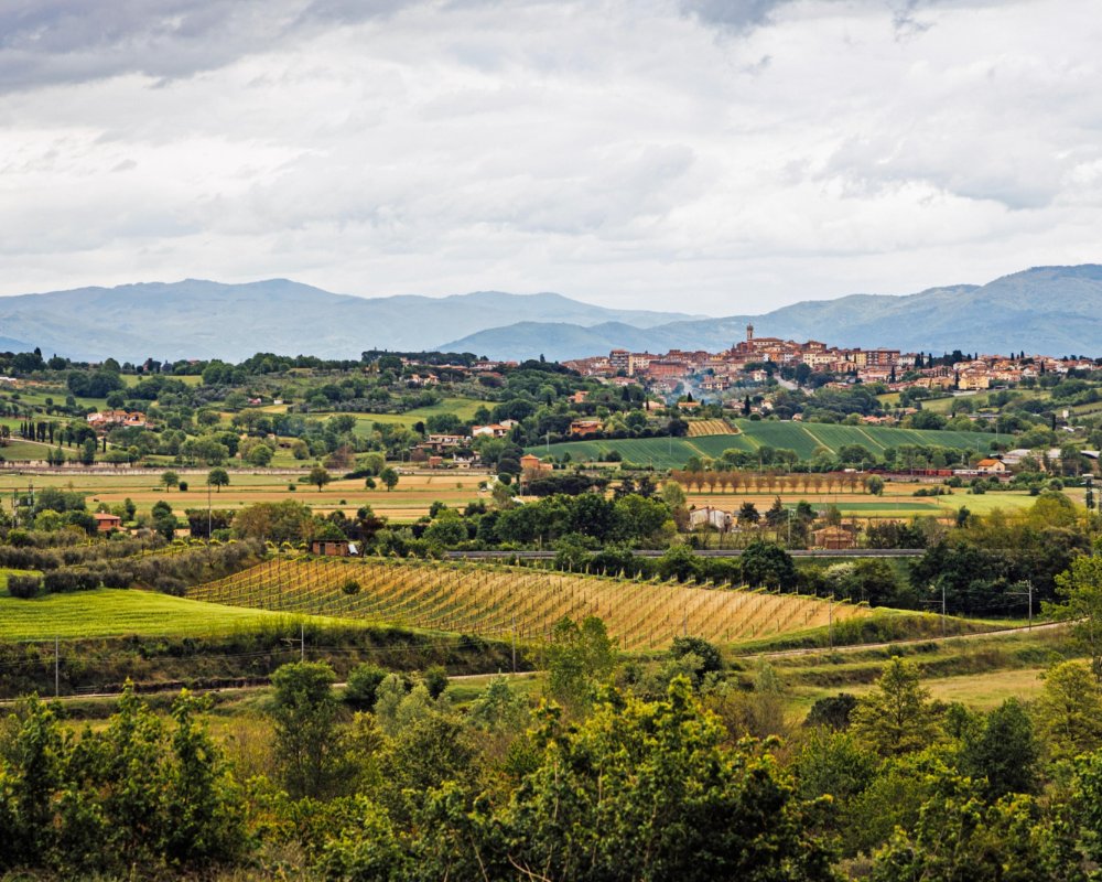Tra leopoldine, campi coltivati e sapori toscani: Cesa in Valdichiana su Home Restaurant Hotel