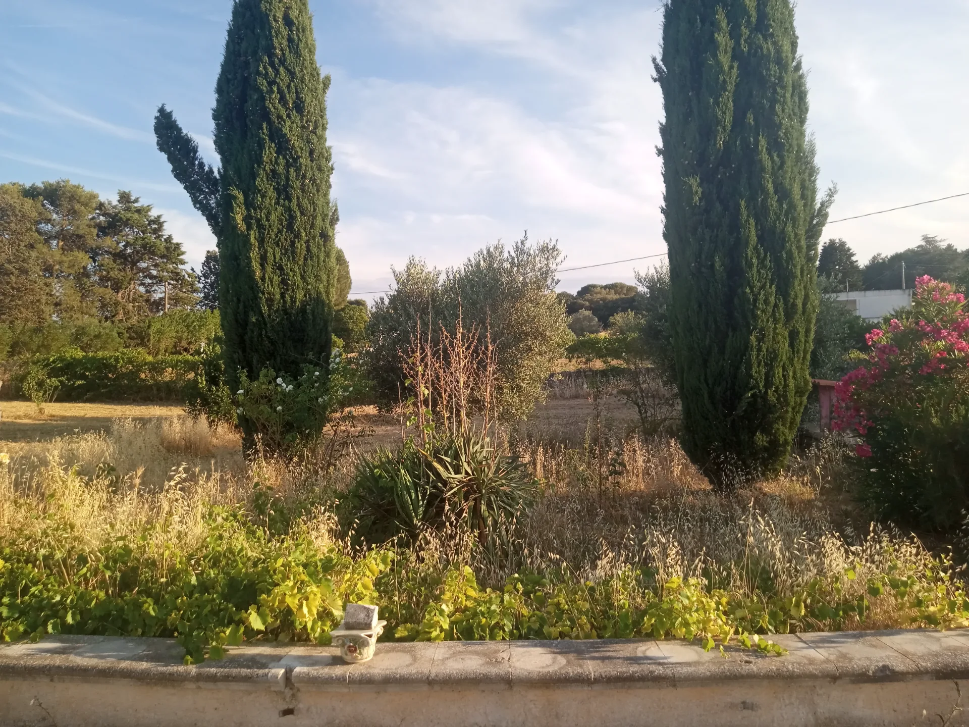 Sfizi Natural Fine settimana in mezzo alla Natura — foto 5